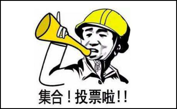 如何网络投票刷票.png
