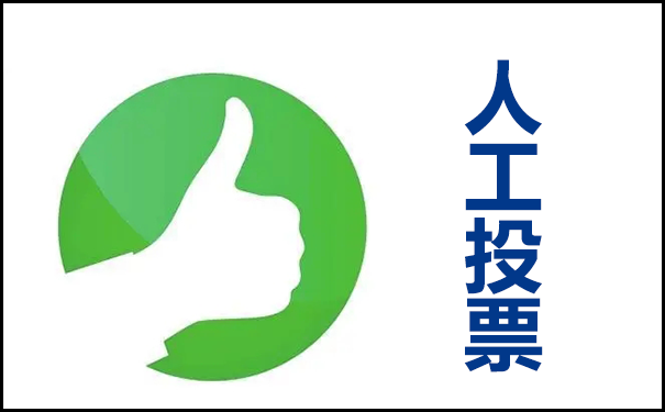 网络投票如何刷票数?